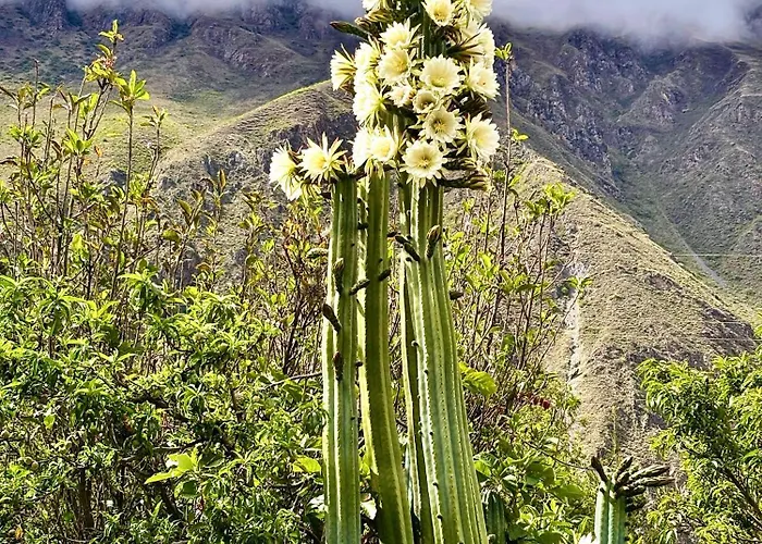Sequeiros Garden Ollantaytambo